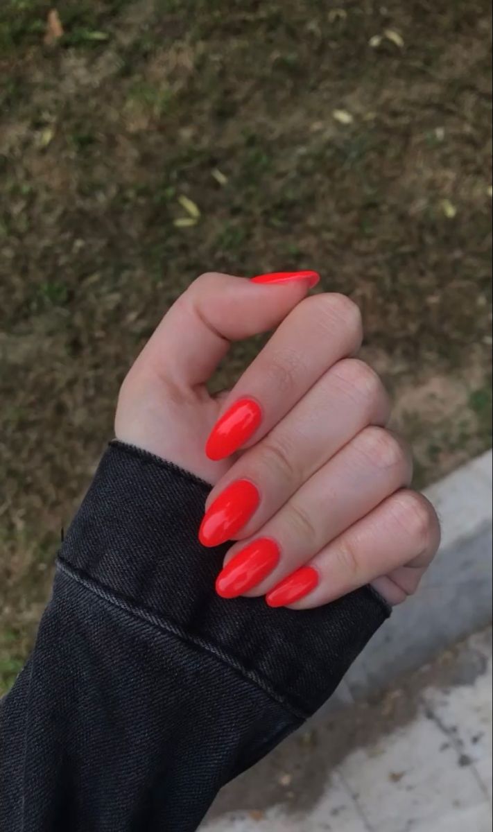 Red- orange nails, oval, red nail theory , bright red Orange Nails Oval, Bright Red Orange Nails, Res Nails, Red Orange Nails, Red Nail Theory, Bright Orange Nails, Nail Theory, Nails Oval, Red Nail