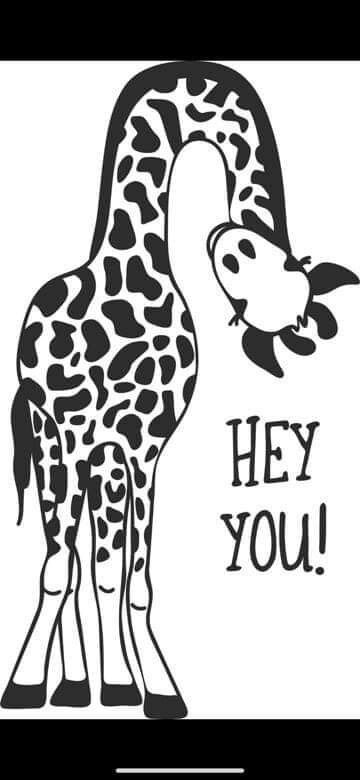 a black and white giraffe with the words hey you