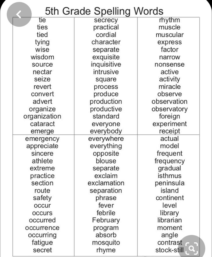 the 5th grade spelling worksheet