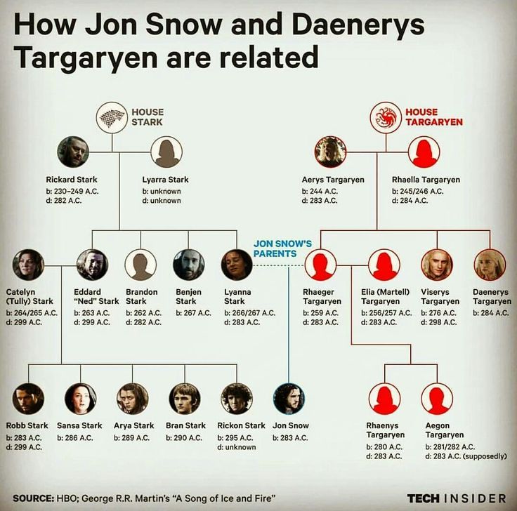 a family tree is shown with the names of people