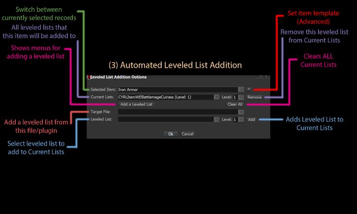 an image of the automated level list addition in wordpress with highlighted text and colored lines