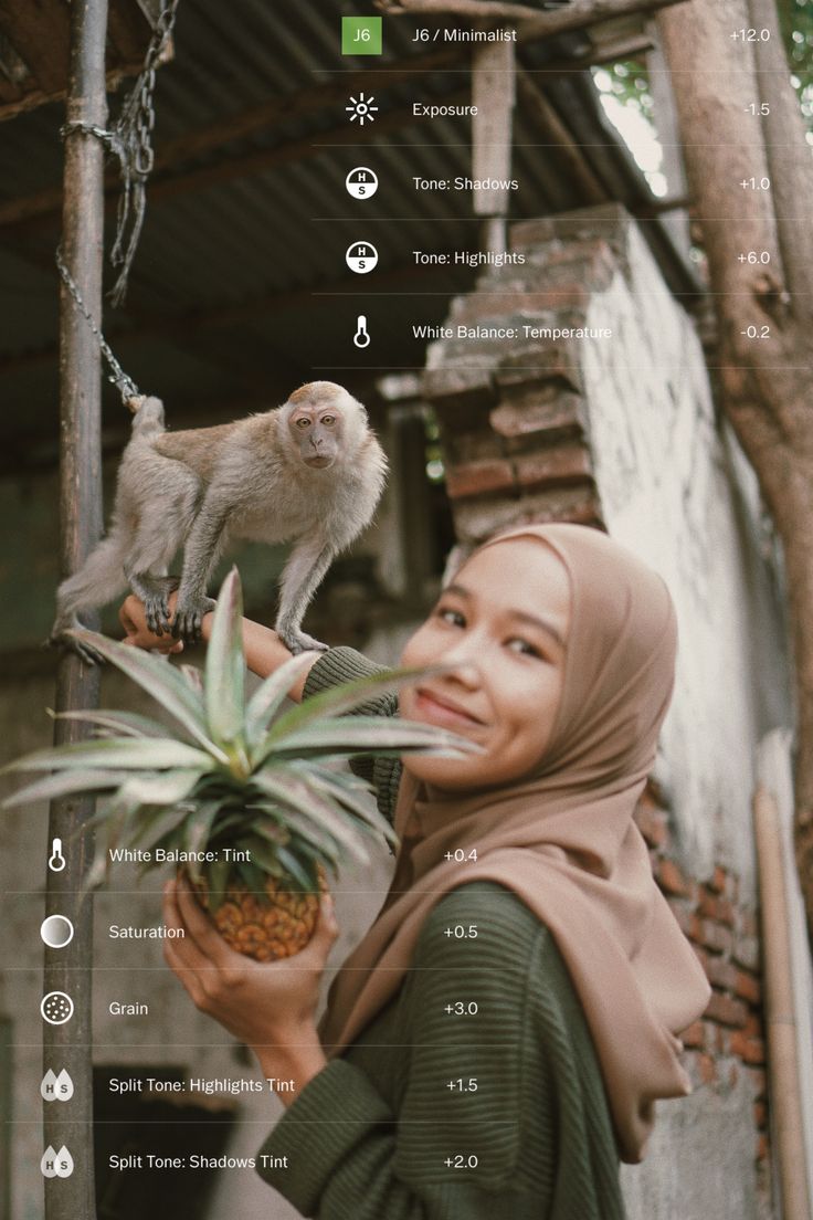 a woman in hijab holding a pineapple and a monkey on top of it