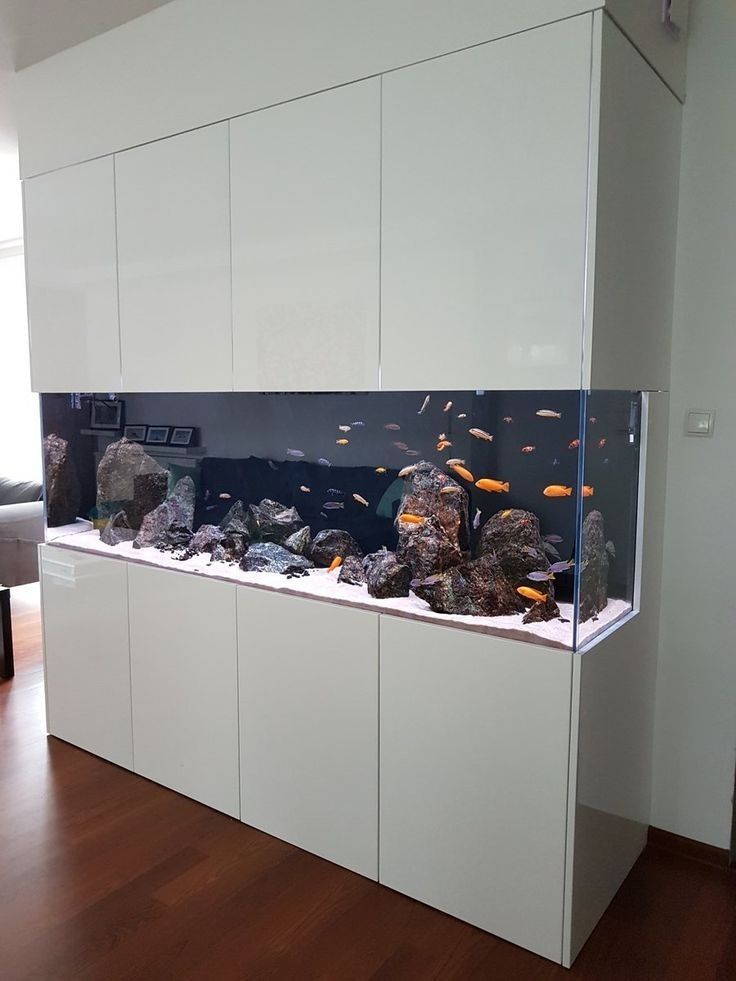 a fish tank sitting on top of a white cabinet