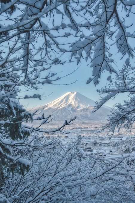 snow covered trees and mountains in the distance