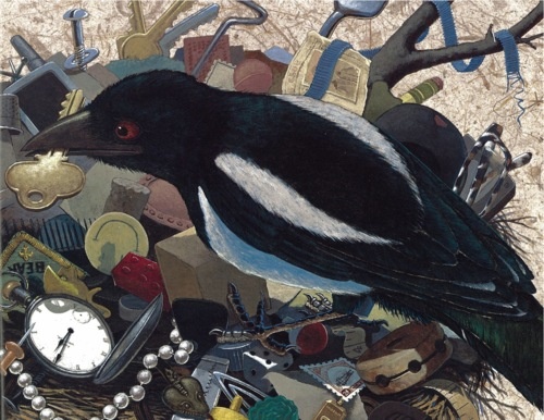 a black bird surrounded by assorted objects