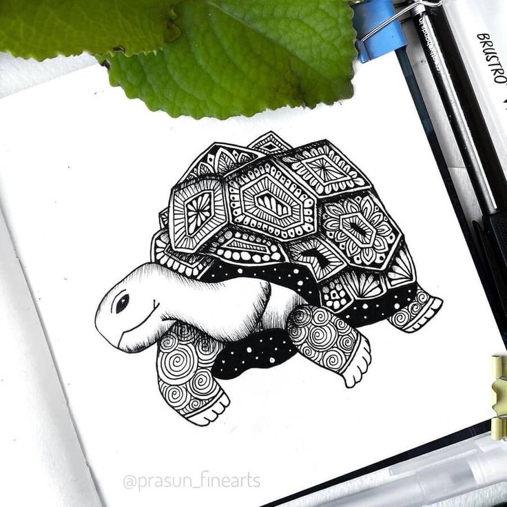 Surreal Ink Drawing Tortoise Doodle, Mandala Art Drawing, Art Should Comfort The Disturbed, Woodland Home, Comfort The Disturbed, Desert Tortoise, Zentangle Artwork, Fancy Suit, Mandala Design Art