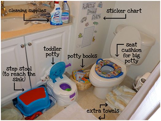 the parts of a child's toilet in a bathroom