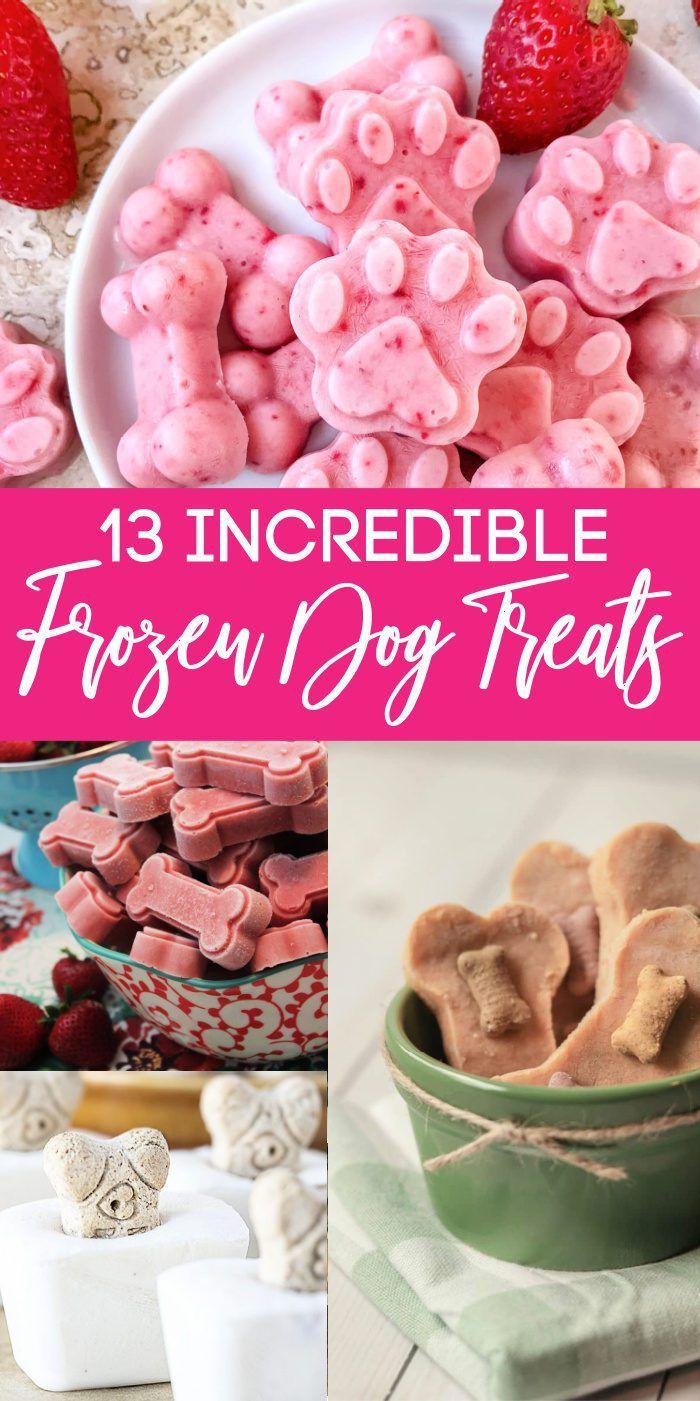 Frozen Dog Treats - LemonPeony Dog Treats Homemade Peanut Butter, Yogurt For Dogs, Summer Dog Treats, Frozen Dog Treats Recipes, Dog Meals, No Bake Dog Treats, Frozen Dog Treats Homemade, Greek Yogurt And Peanut Butter, Frozen Treats Recipes