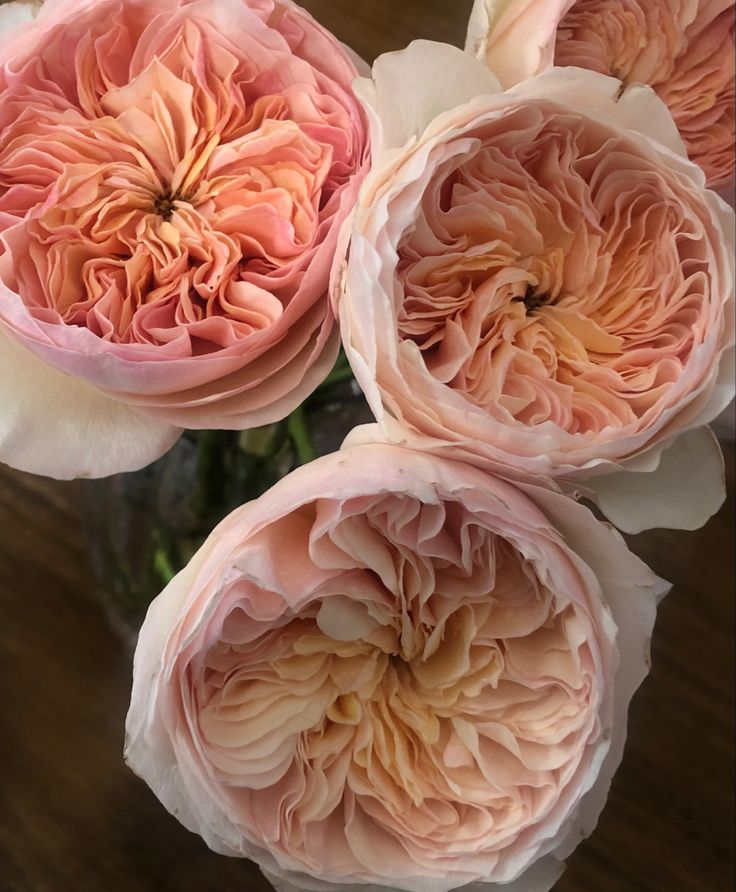 three large pink flowers in a vase on a wooden table with the petals still open