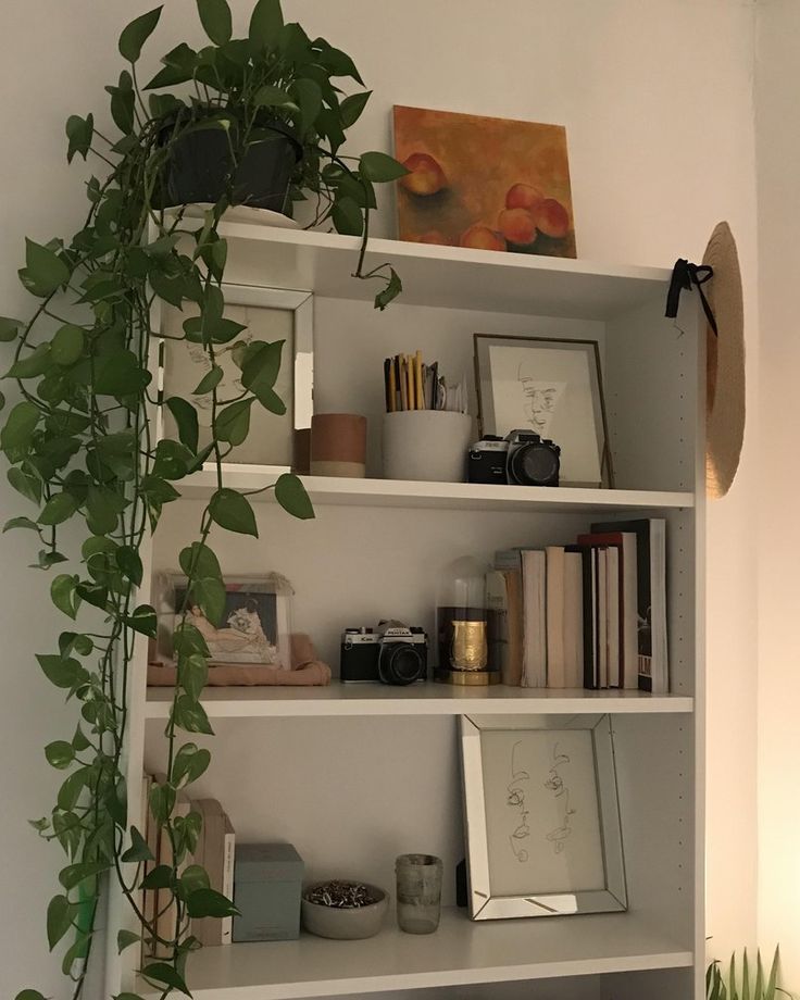 a white book shelf filled with books and plants