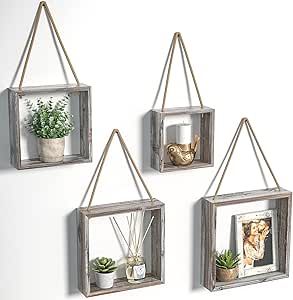 three hanging frames with plants and pictures on them are hung on the wall, along with two small potted succulents