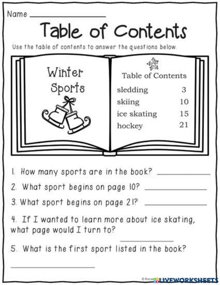 the table of contents worksheet for winter sports