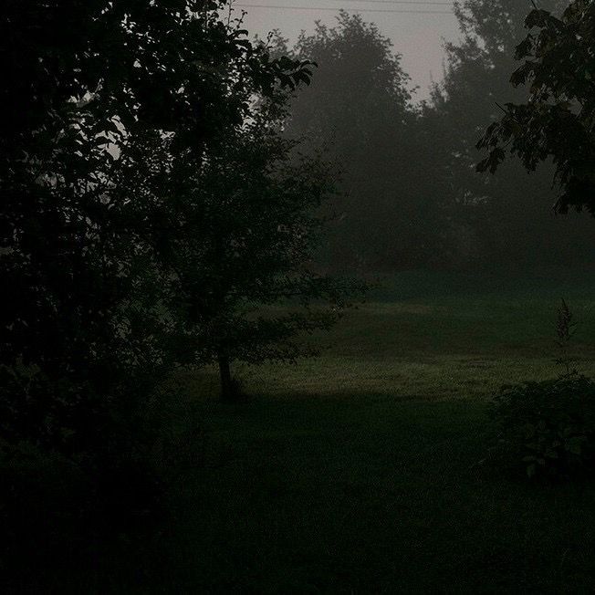 an open field with trees in the background and fog on the ground at night time