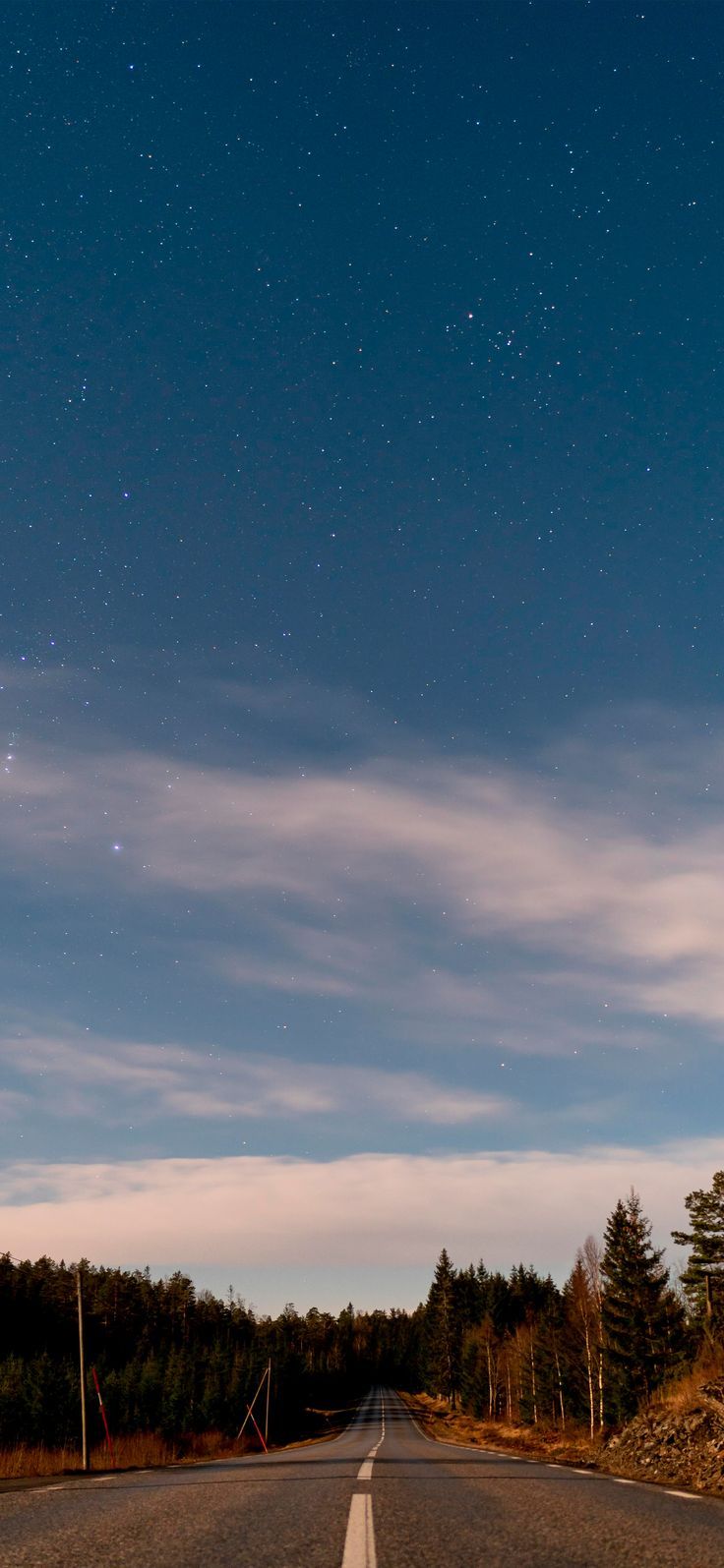 an empty road with trees on both sides and stars in the sky