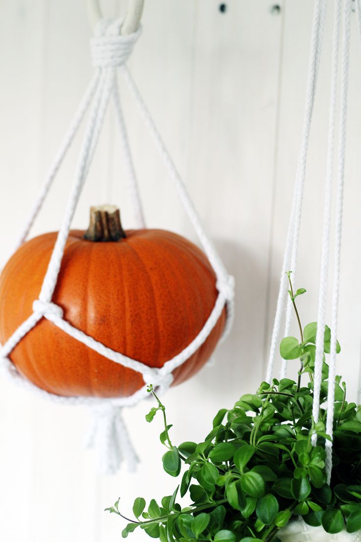 an orange pumpkin hanging from a rope next to a potted plant in a white vase