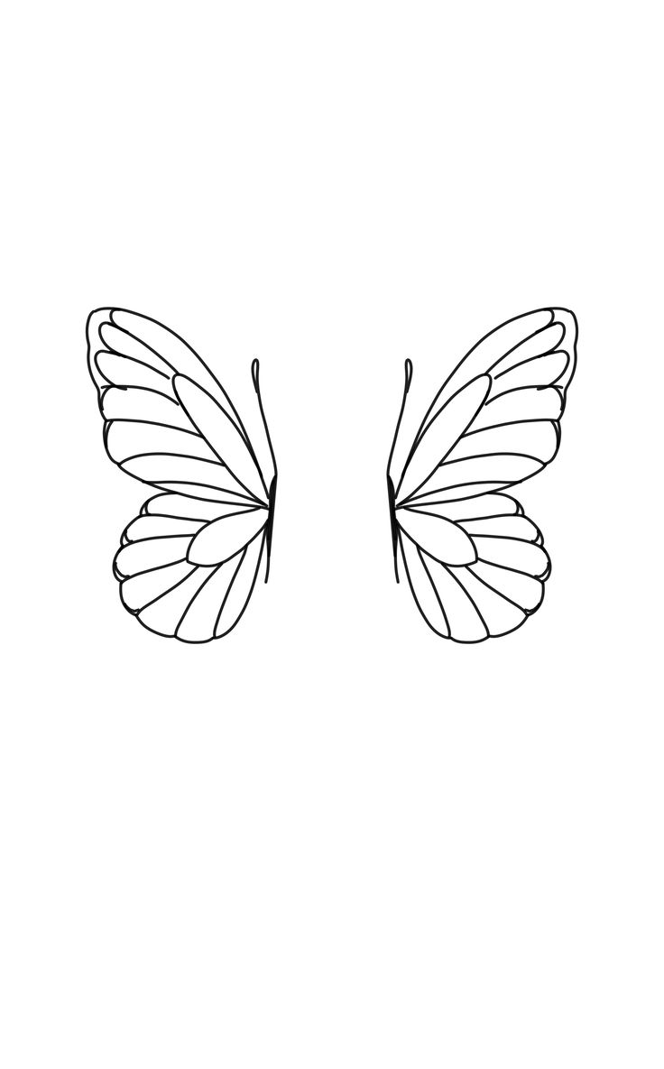 the outline of a butterfly's wings