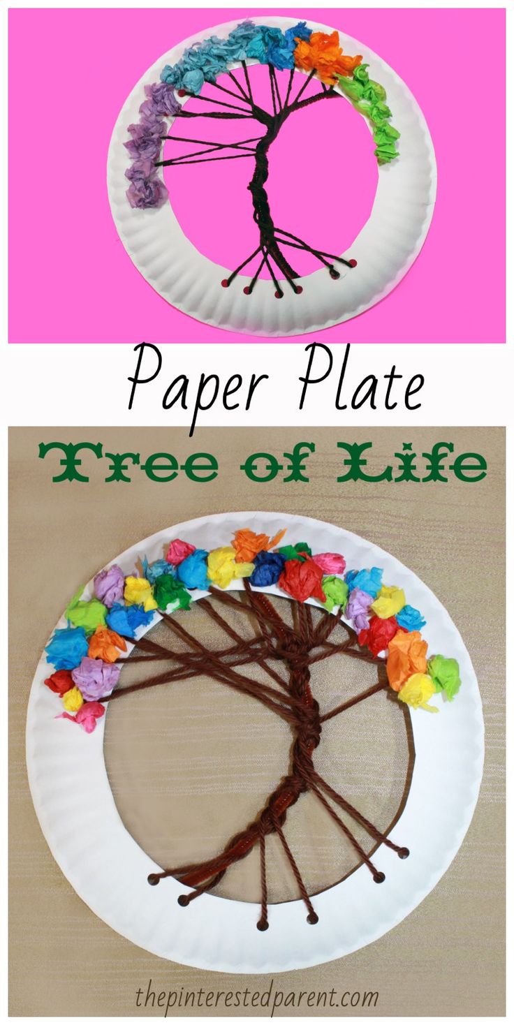 paper plate tree of life craft for kids