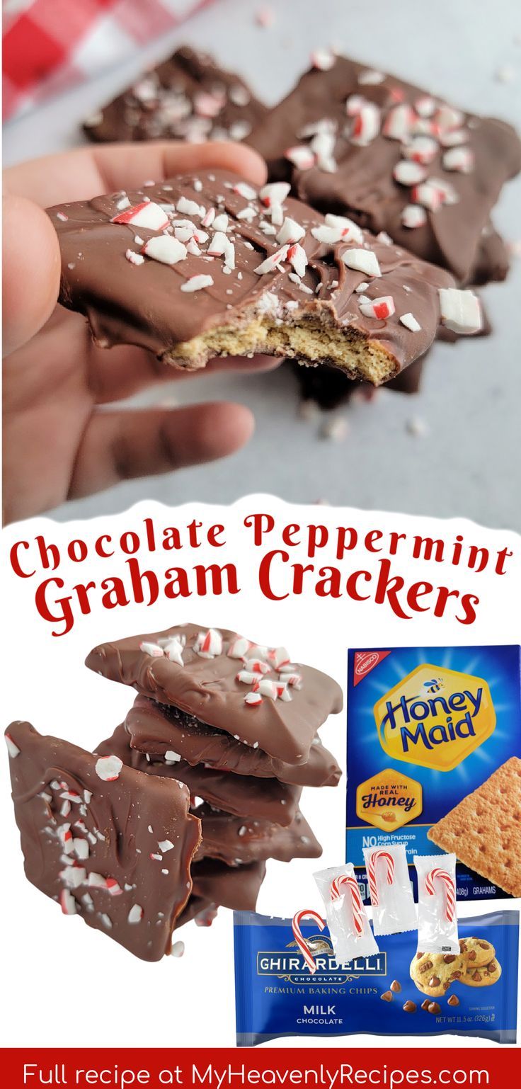 chocolate peppermint graham crackers with text overlay