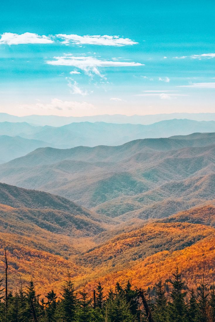 the mountains are covered in yellow and green foliage