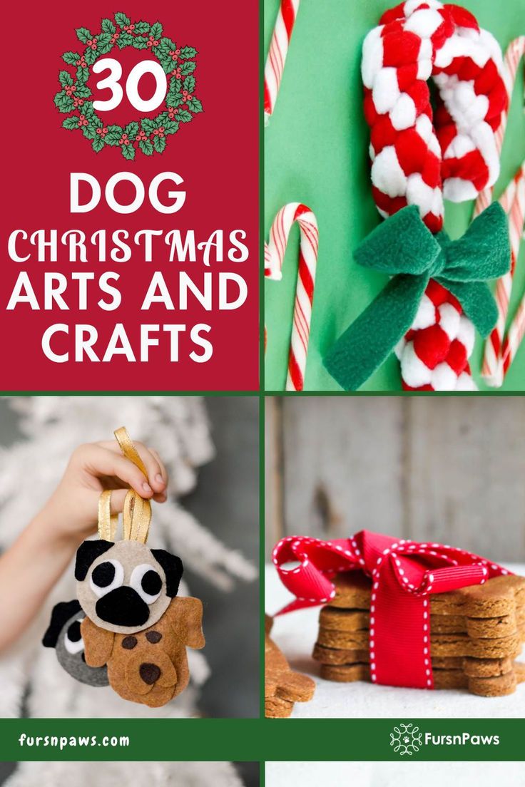 Dog Crafts Christmas Puppy Christmas Ornaments Diy, Diy Pet Ornaments, Dog Gifts Diy, Dog Christmas Crafts, Crafts For Dog Lovers, Christmas Ideas To Make, Crafts Christmas Ideas, Christmas Dog Gifts, Dog Art Diy