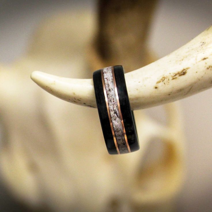 an oxen ring with black and white stripes sits on top of a cow's tusk