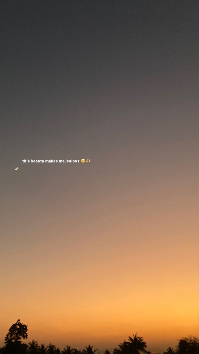 an airplane flying in the sky at sunset with palm trees and other silhouettes behind it