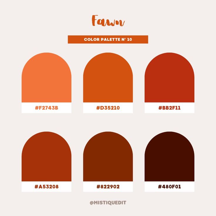 the color palette for fawn, which includes different shades and colors to choose from