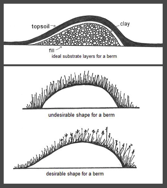 three different types of grass growing on land