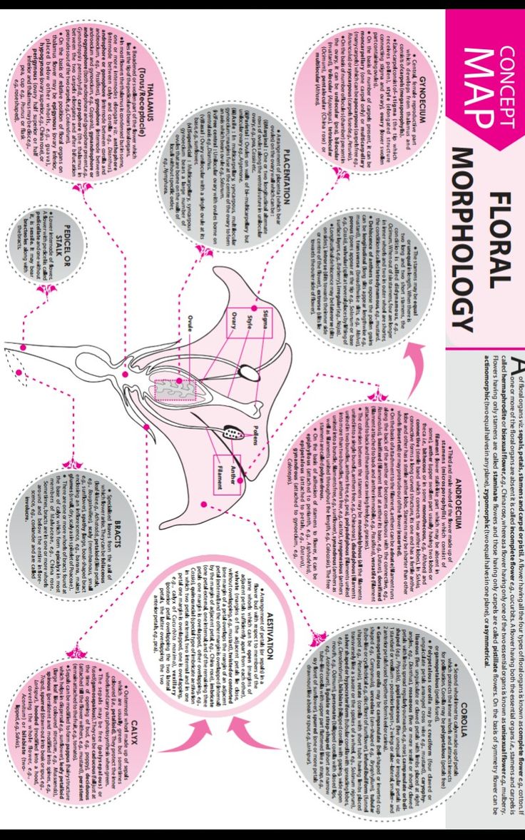 an info sheet with text and diagrams on it