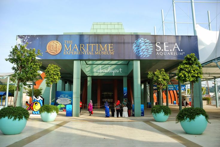 two people are standing in front of the marine aquarium