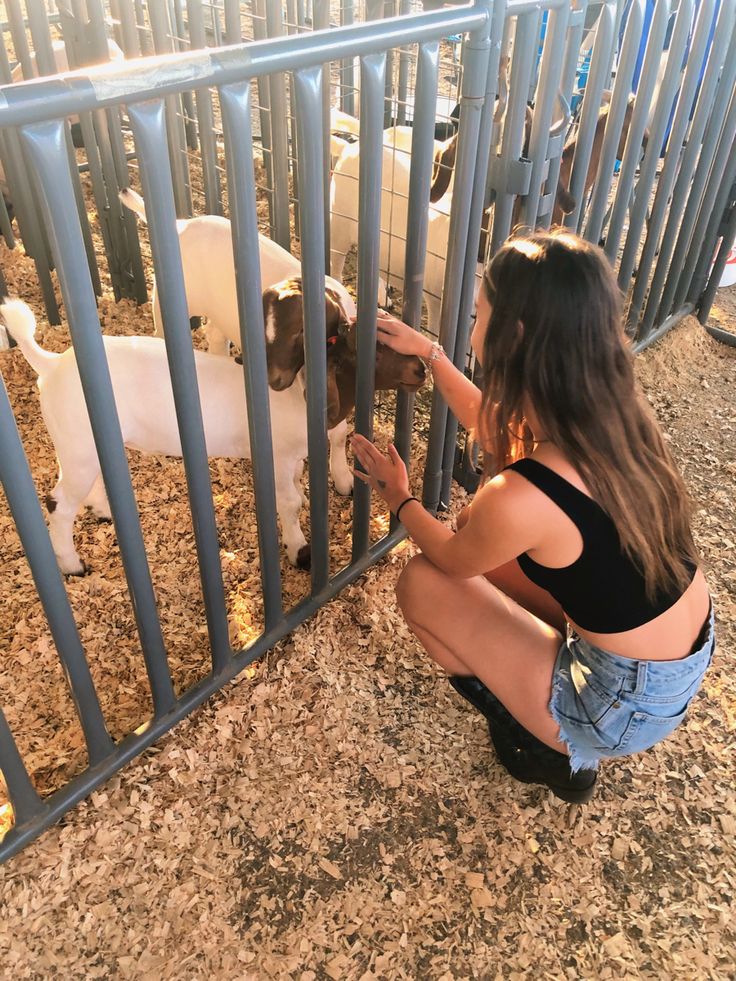 Livestock show goat petting zoo country Petting Zoo Photoshoot, Petting Zoo Outfit, Showing Animals At The Fair, County Fair Pictures, Livestock Show Aesthetic, County Fair Outfit Ideas, County Fair Aesthetic, Petting Zoo Ideas, County Fair Outfit