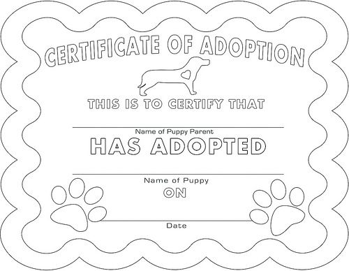 a certificate for a puppy that has been adopted