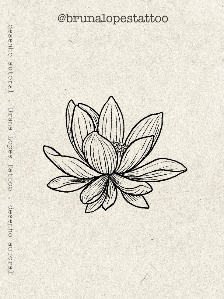 #lotusflower #lotus #lotusflowertattoo #lotustattoo #tattoo #etching #gravure #gravura #illustration #flash White Lotus Drawing, Aesthetic Lotus Tattoo, Lotus Flash Tattoo, Louts Flower Tattoo Back, Lotus Tattoo Aesthetic, Vietnamese Lotus Tattoo, Lotus Flower Tattoo Fine Line, Blooming Lotus Tattoo, Lotus Illustration Design