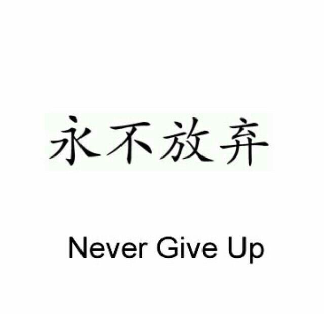 the cover for never give up with chinese characters