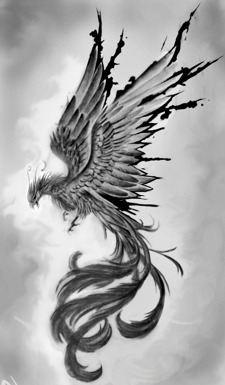 a black and white drawing of a bird with long hair on it's wings