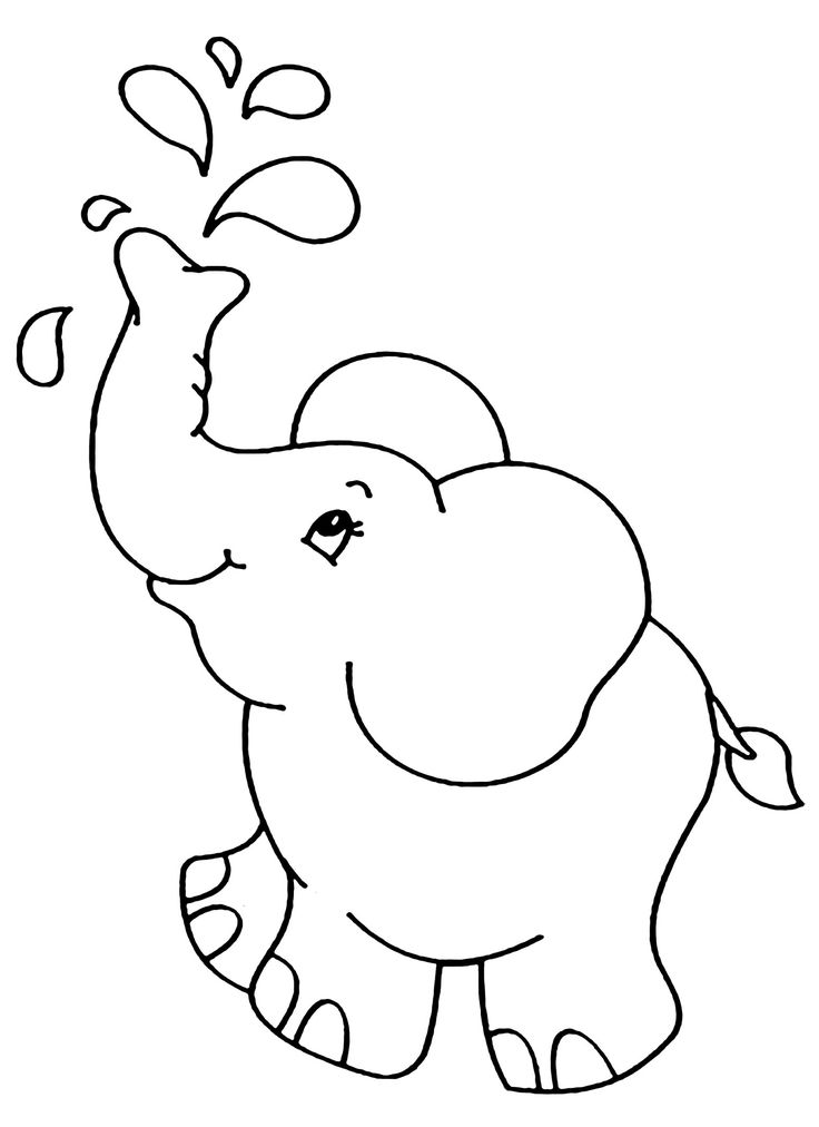 an elephant with its trunk in the air