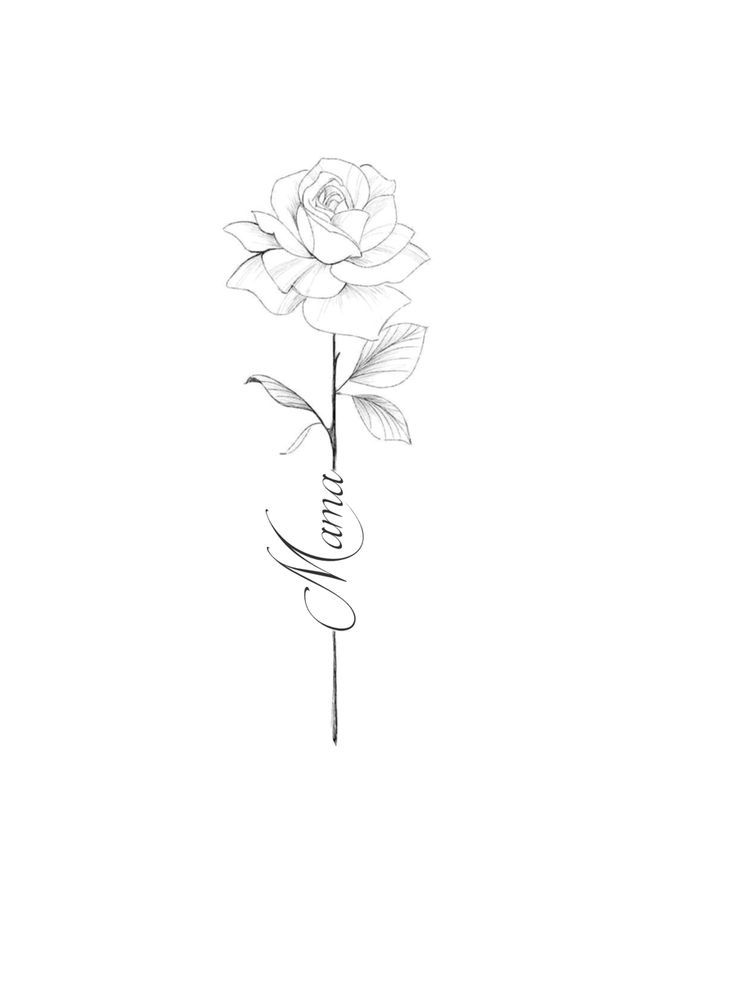 a drawing of a rose with the word love written in cursive writing on it