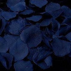 blue petals are scattered on a black background