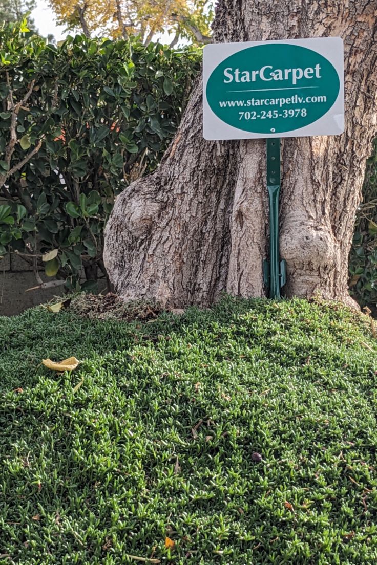 a sign that is on top of a tree in front of some bushes and trees