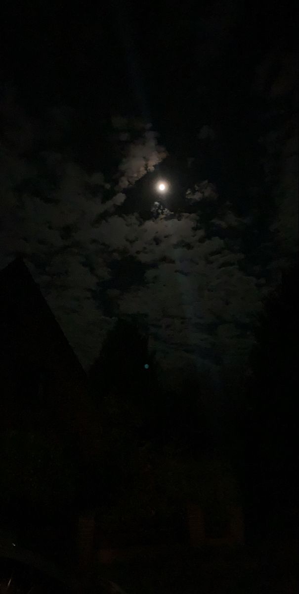 the full moon shines brightly in the dark night sky over some houses and trees