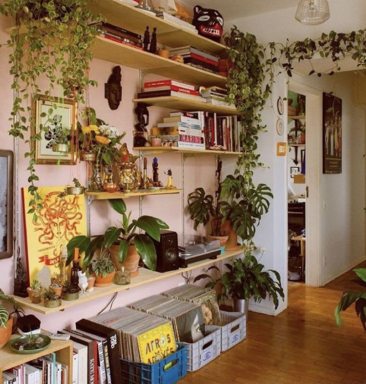 a living room filled with furniture and lots of plants on the wall above it's bookshelves