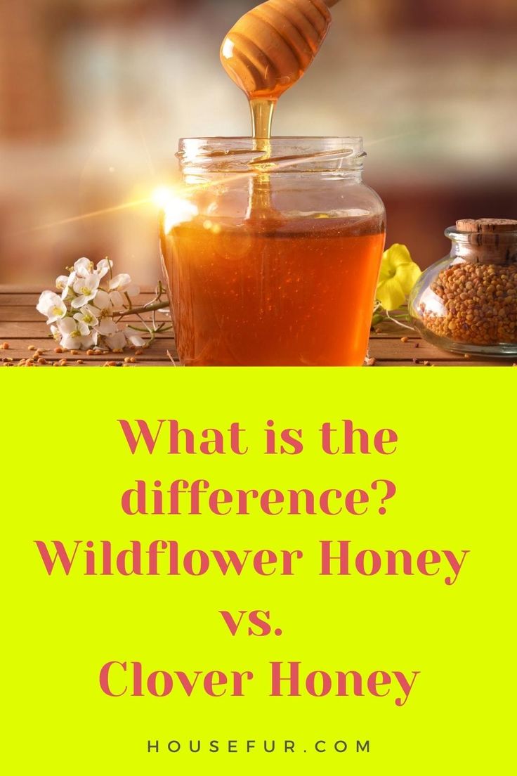 Wildflower Honey vs. Clover Honey Clover Honey Benefits, Honey And Clover, Clover Honey, Orange Blossom Honey, Honey Water, Wildflower Honey, Dog Treats Homemade Recipes, House Plant Care, Dog Treat Recipes