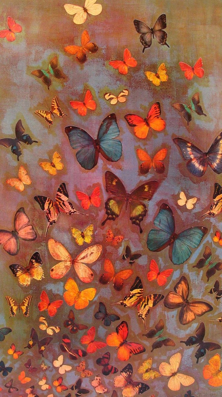 a bunch of colorful butterflies flying in the air