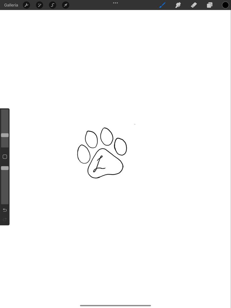 a drawing of a dog's paw on a computer screen