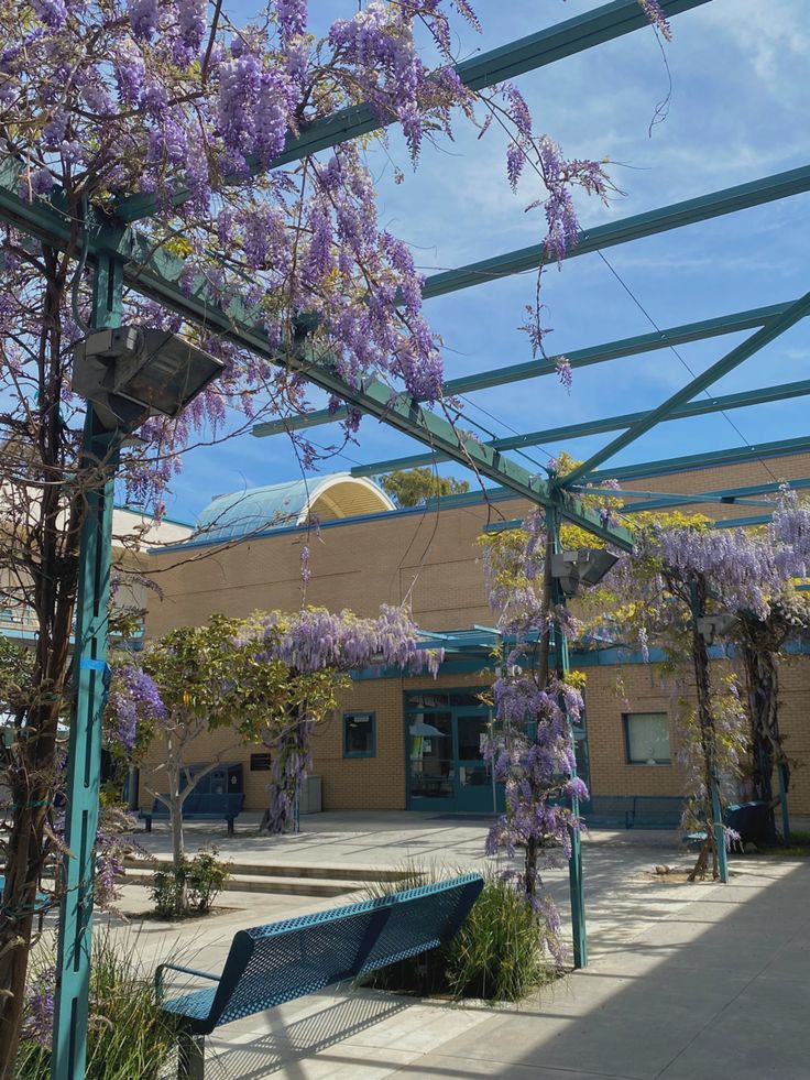 purple flowers blooming on the branches of trees in front of a building