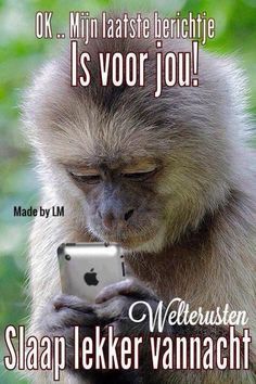 a monkey holding a cell phone in its hands with the caption'ok, mini lafste berichie is vor jou '