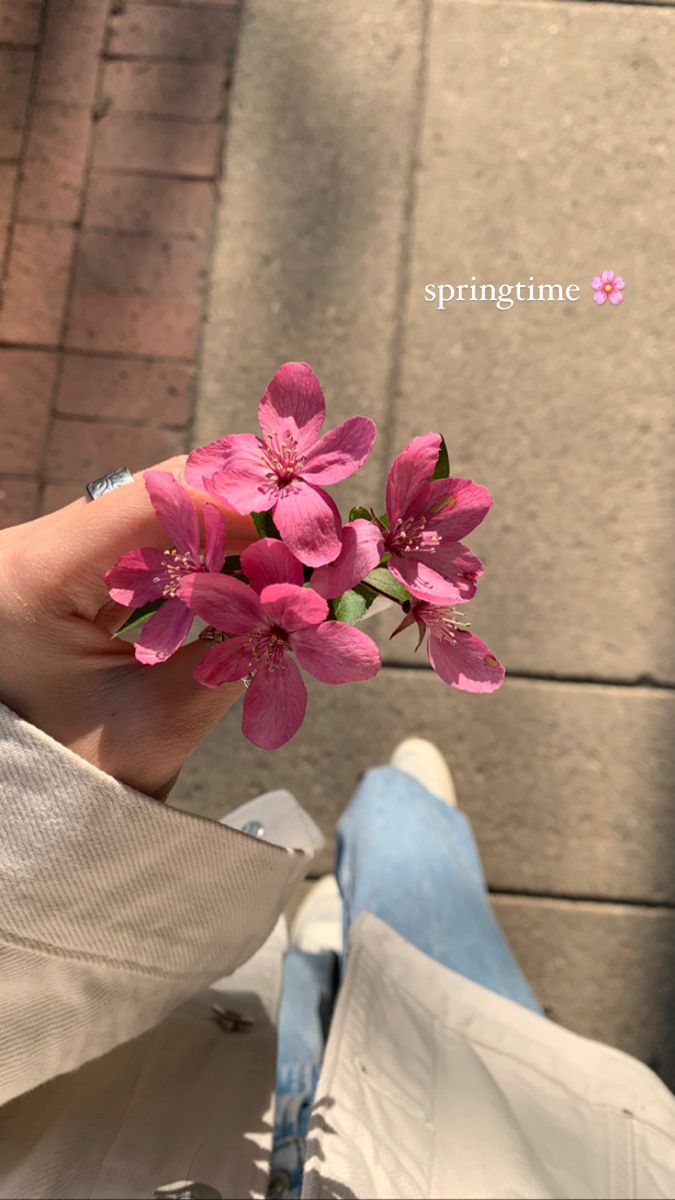 a person's hand holding pink flowers in front of a brick wall with the words springtime written on it