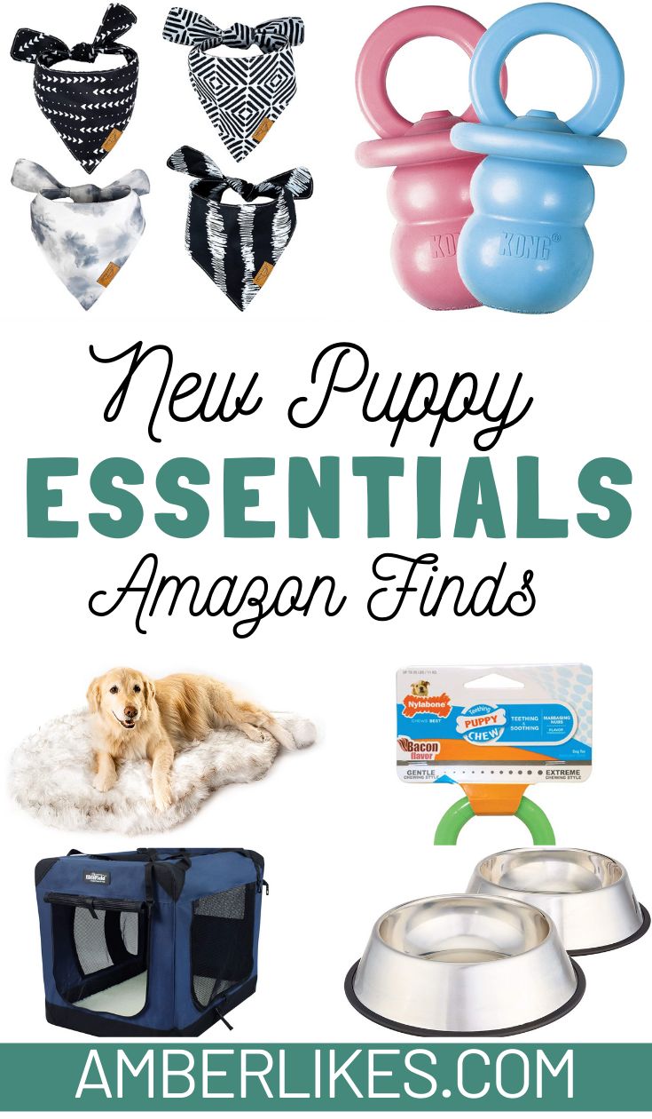 the new puppy essentials are on sale at amerlikes com, and it's free to use