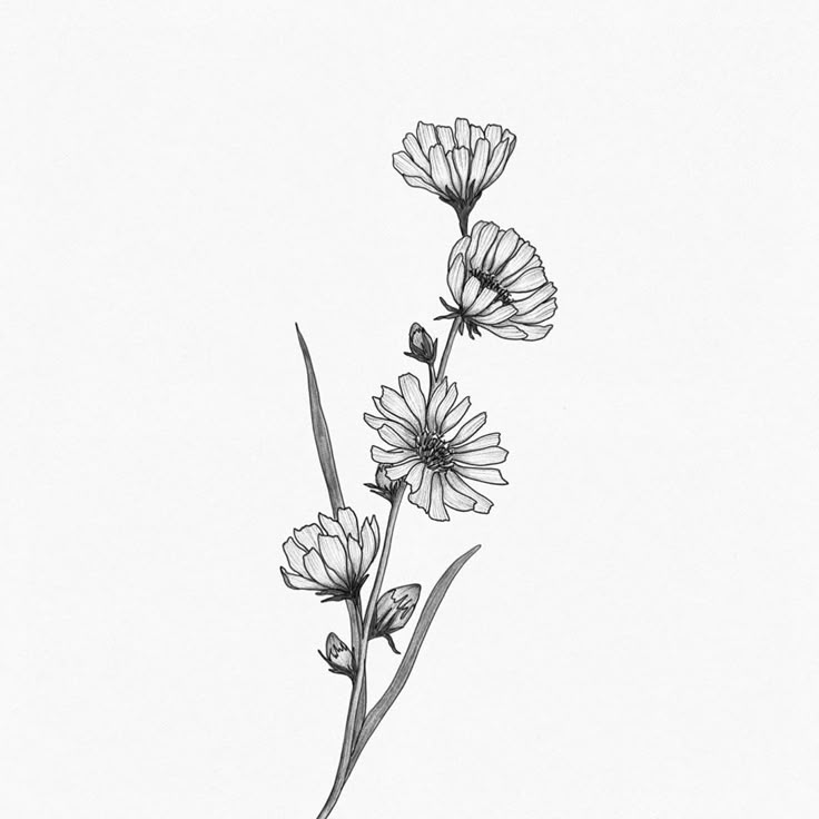 a drawing of some flowers on a white background