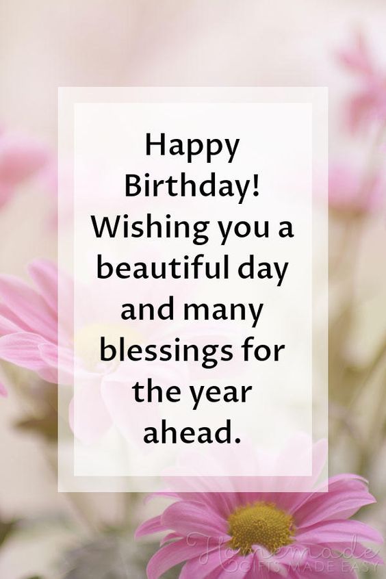 pink daisies with the words happy birthday wishing you a beautiful day and many blessing for the year ahead